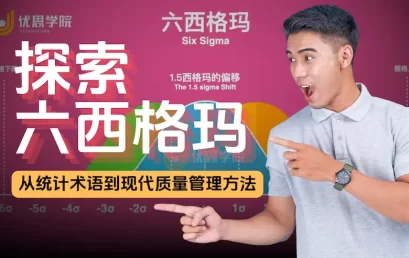 探索六西格玛：从统计术语到现代质量管理方法