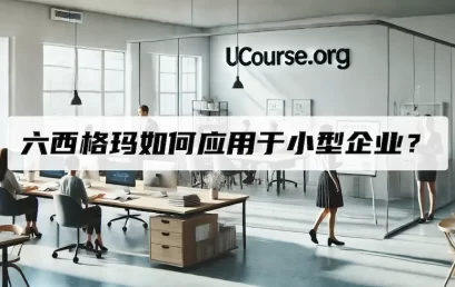 六西格玛如何应用于小型企业？